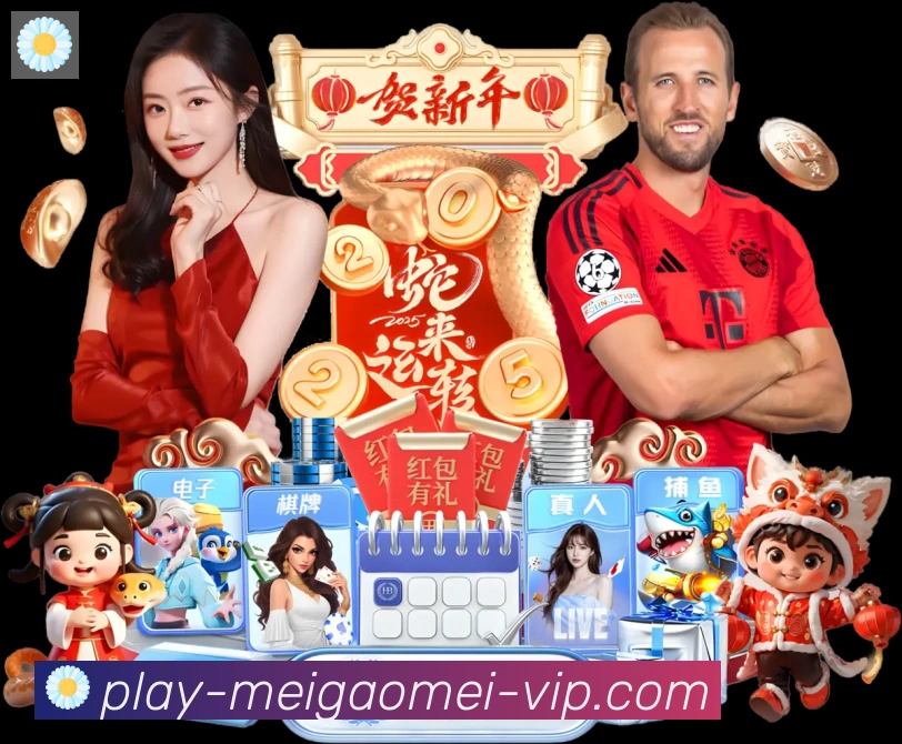 多彩内容专区